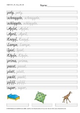 DSS_2S_Bu_p_Nr_04.pdf